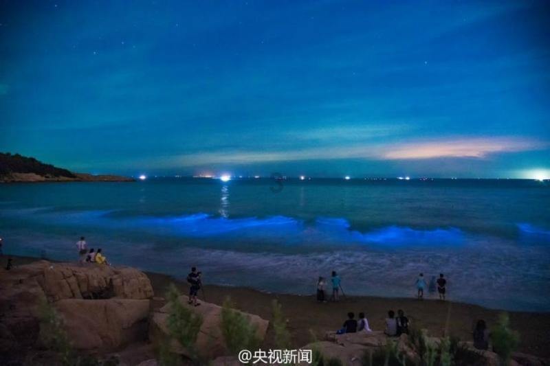 沈阳市开通了吗？